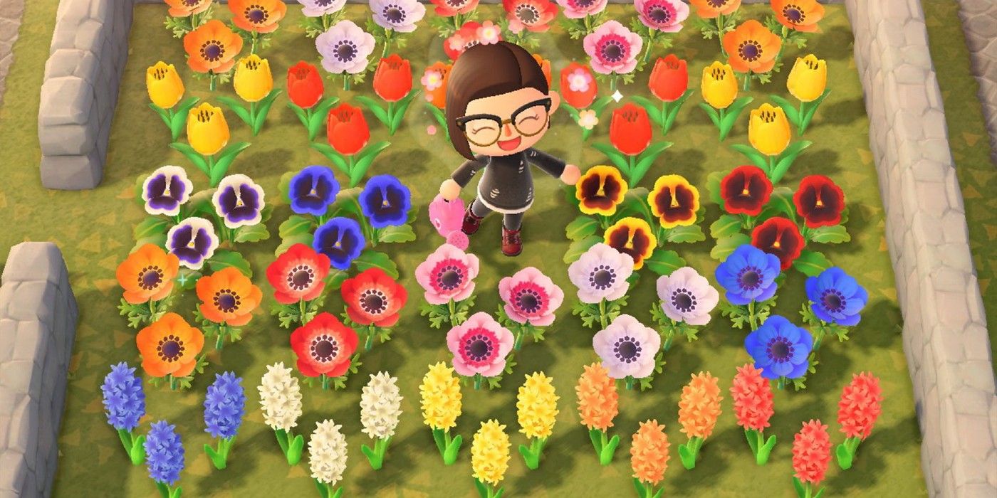 Rochelle Wallace: Blue And Purple Flowers Animal Crossing : Animal