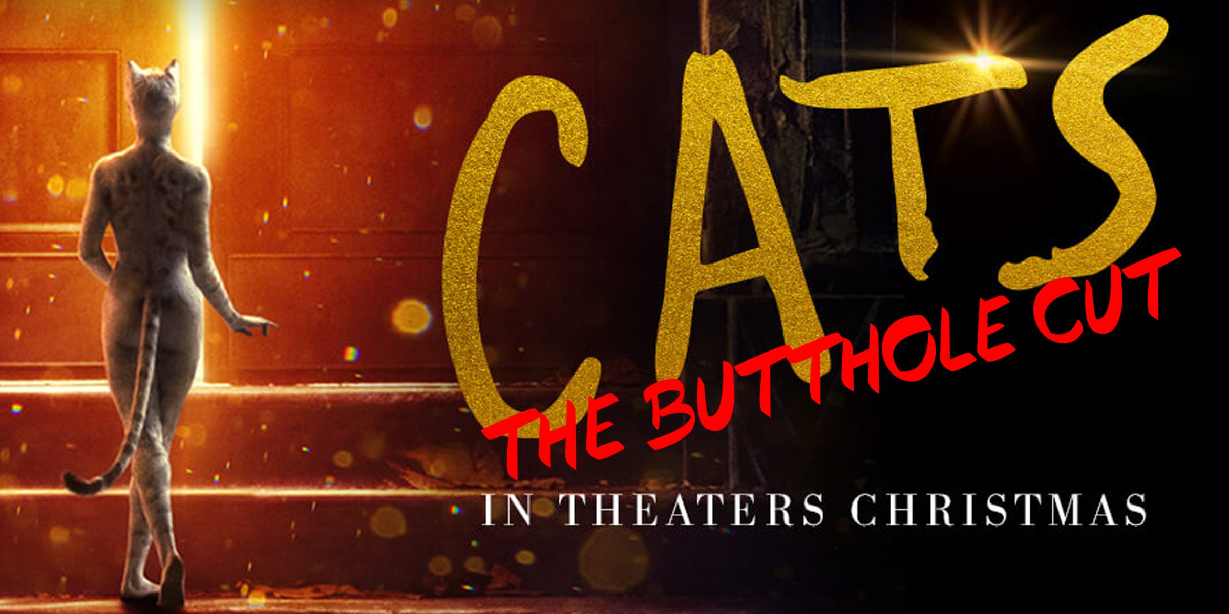 cats butthole poster
