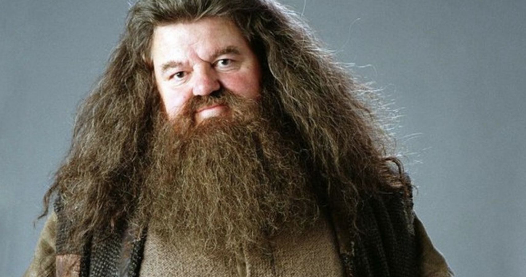 hagrid actor fake head