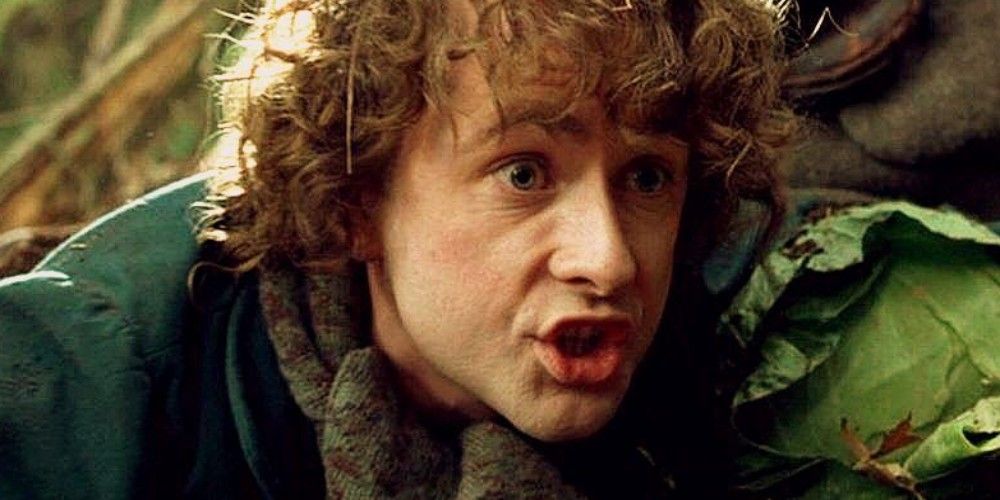 Pippin speaking to someone off screen at Farmer Maggot's farm in Lord of The Rings