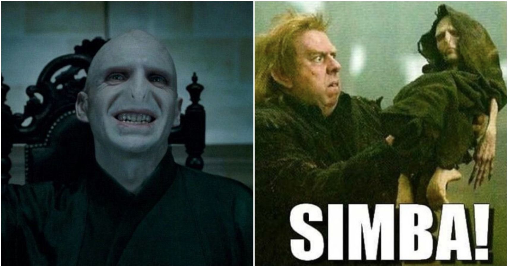 22 Memes That Have Us Calling Voldemort He Who Should Not Be