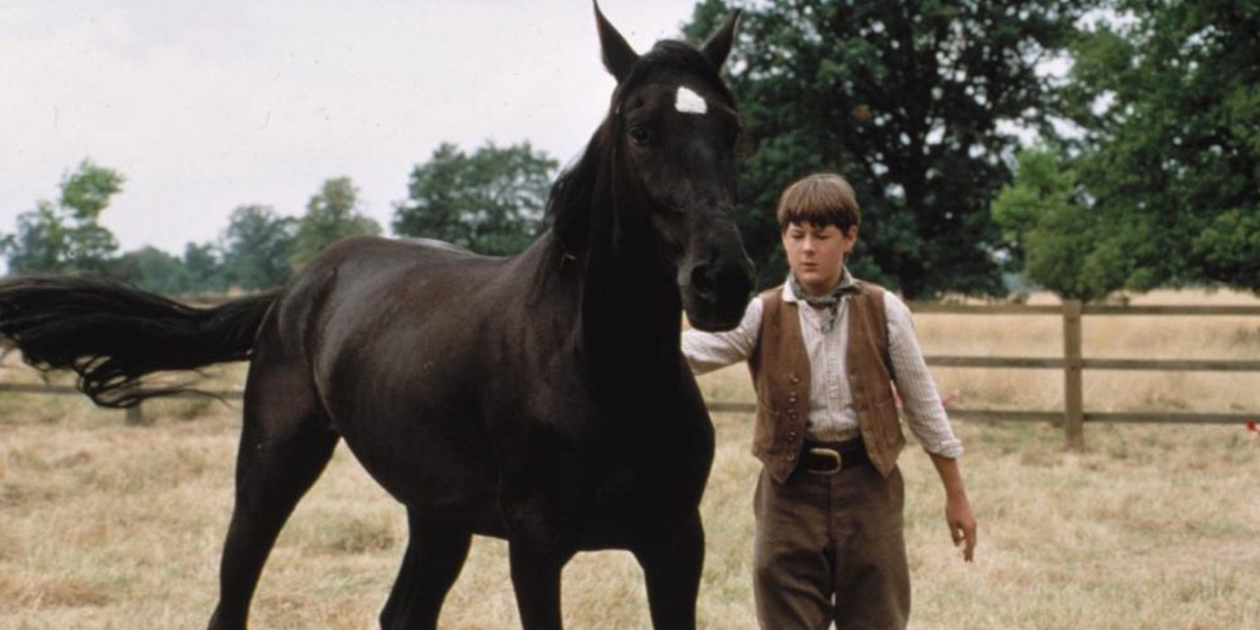 A still of Black Beauty the horse standing with a young boy on the farm in Black Beauty