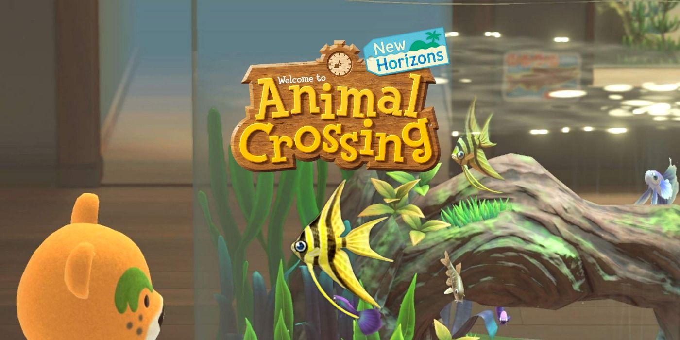 Animal Crossing New Horizons How to Catch an Angelfish