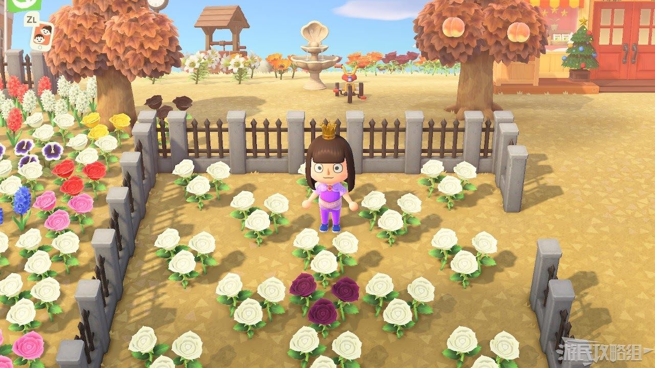 A player stands in a garden of White Roses where one hybrid Purple Rose has spawned in Animal Crossing: New Horizons