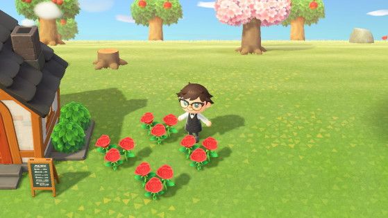 A player tends to Red Roses in a crossbreeding pattern in Animal Crossing: New Horizons