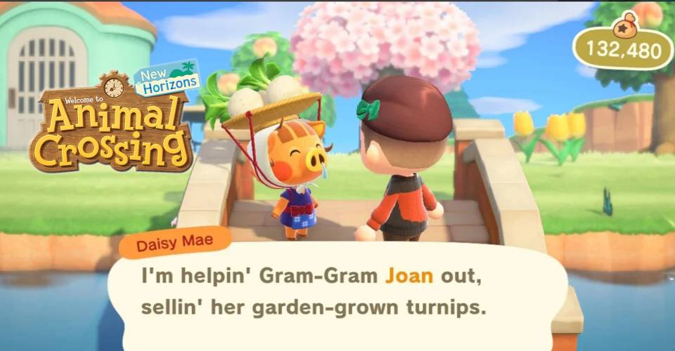 Animal Crossing New Horizons Selling Turnips Tips Tricks