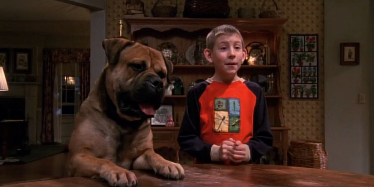 Which Malcolm In The Middle Character Are You Based On Your Zodiac Sign