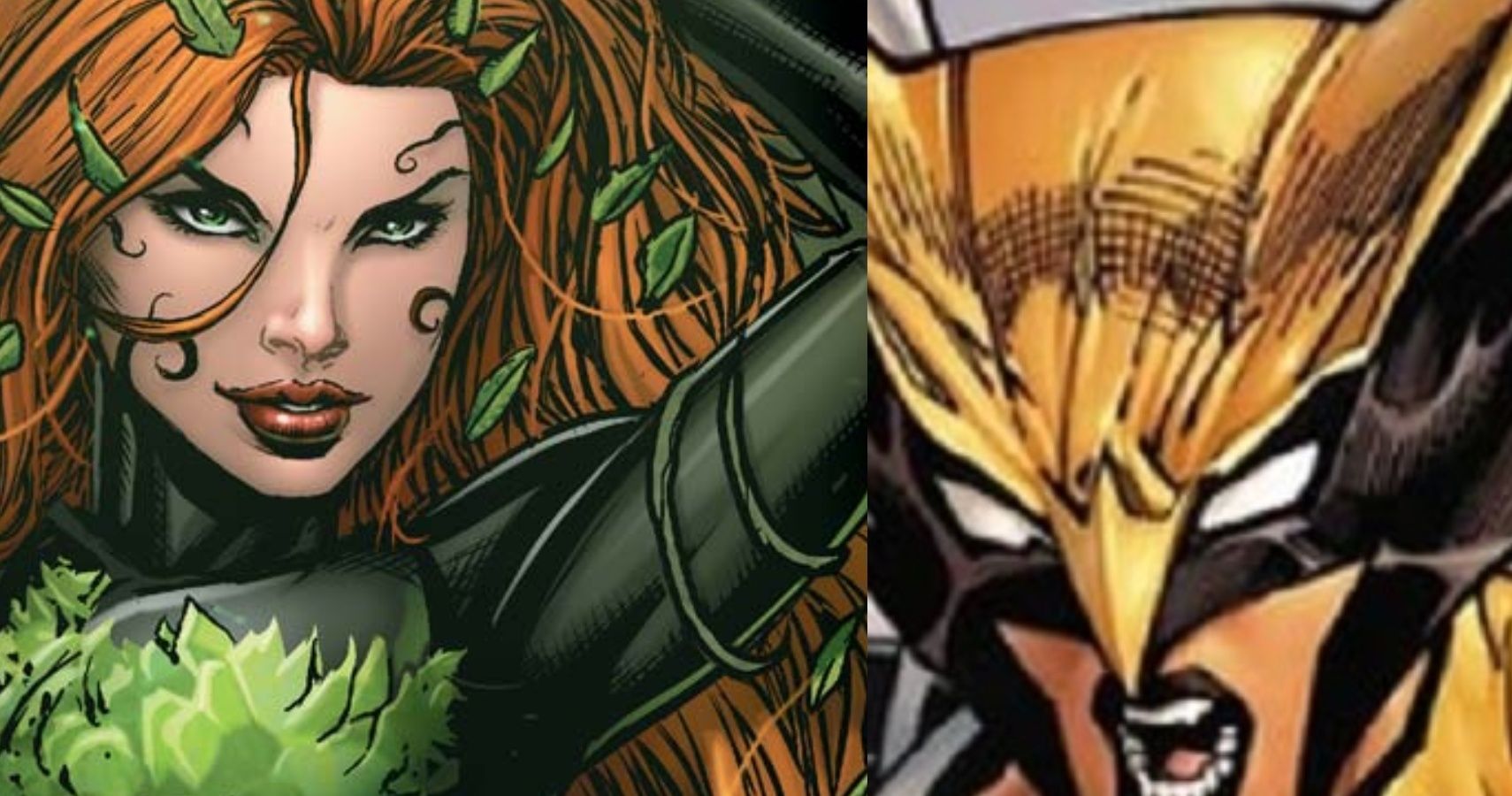 10 Female Characters The DCEU Needs To Introduce