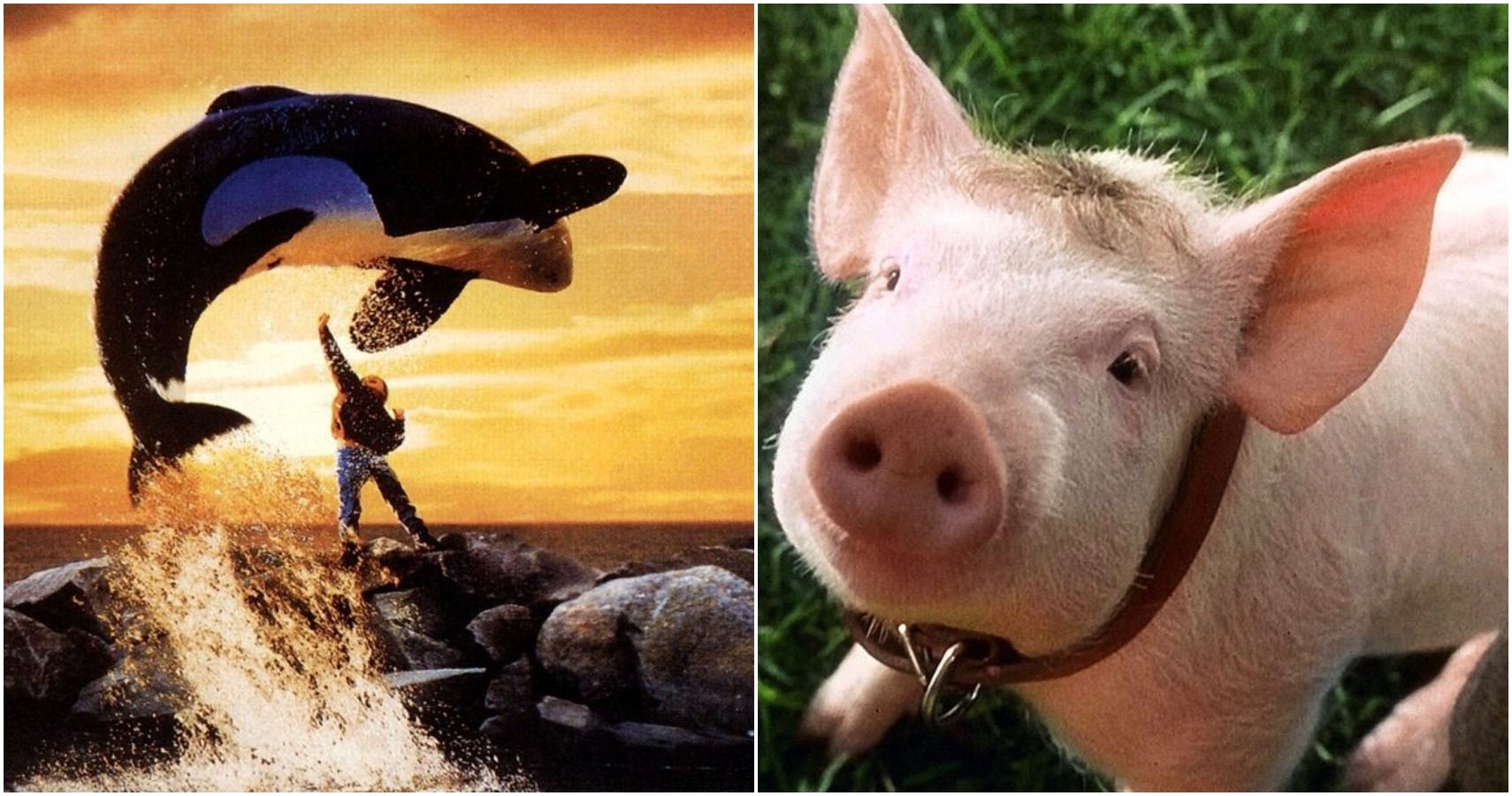 10 Most Iconic Pets In Movie History, Ranked