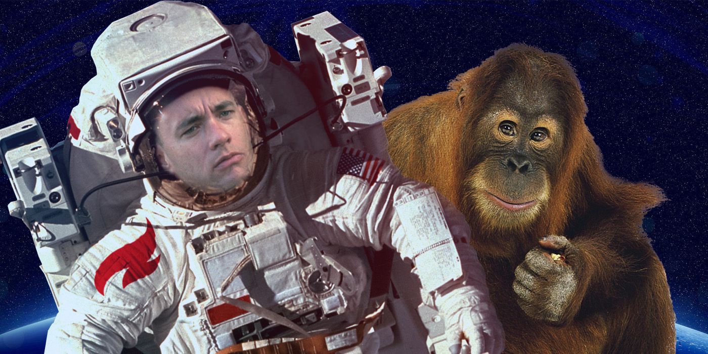 Forrest Gump Goes To Space With An Ape Called Sue In The Original Novel