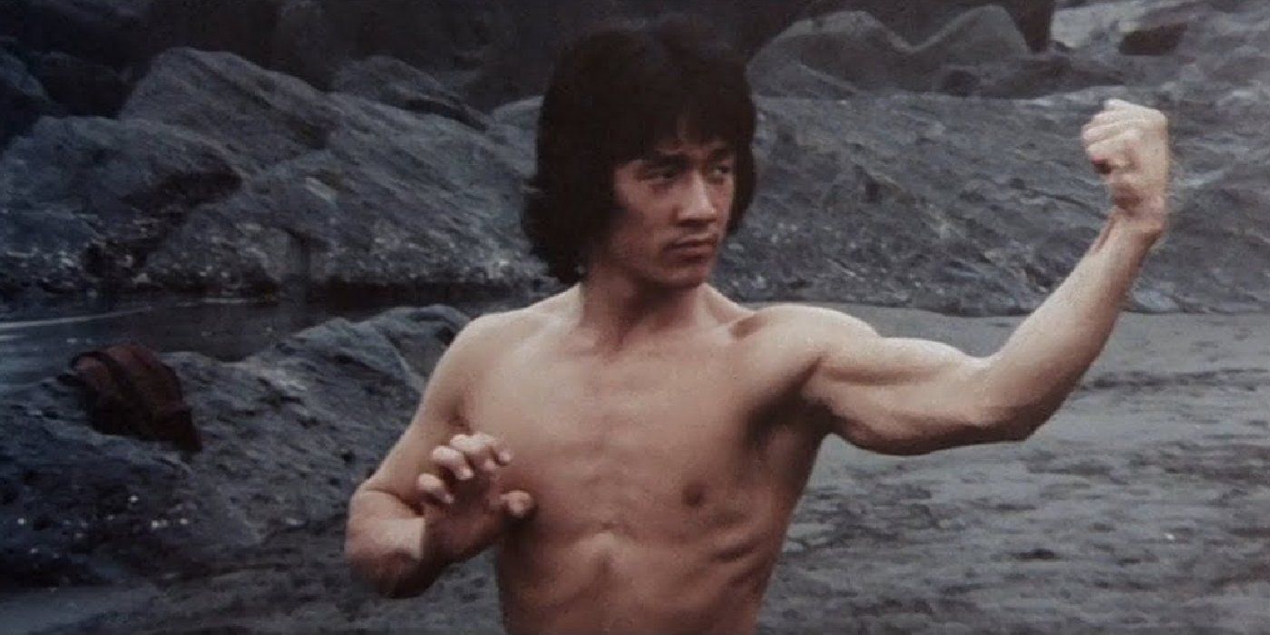 Jackie Chan New Fist of Fury