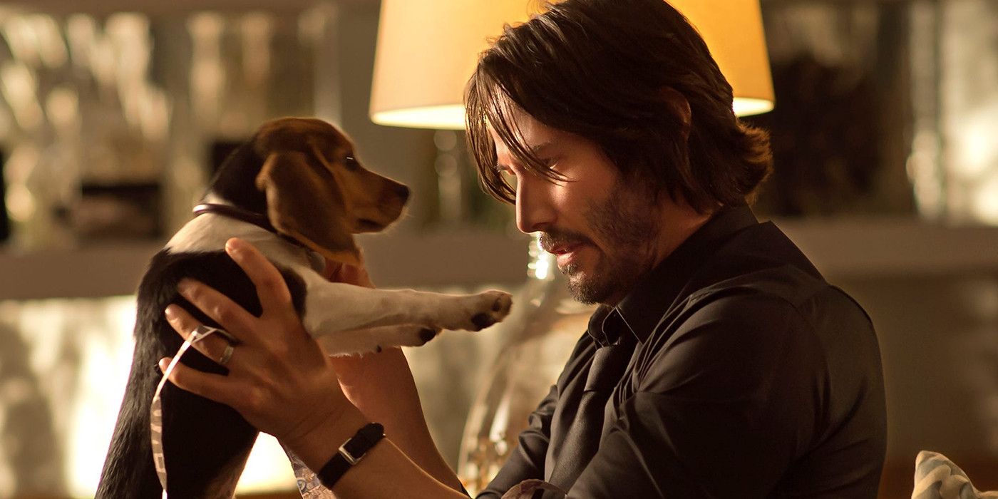 Keanu Reeves as John Wick holds Daisy in John Wick's intro.