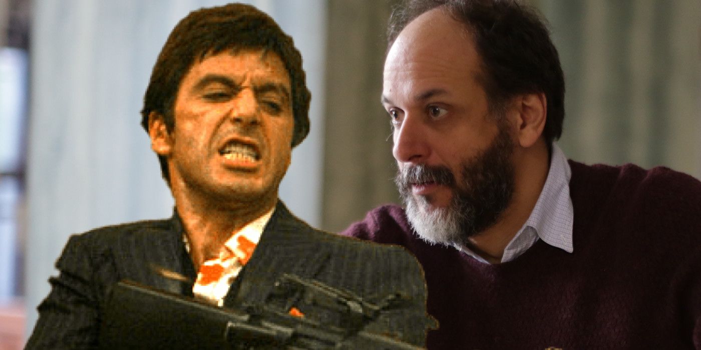 Scarface Reboot Lands Call Me By Your Name Director