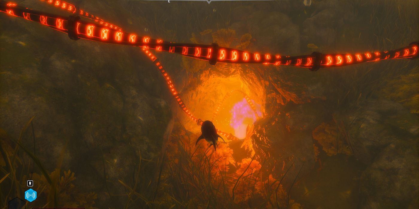 Maneater Level Up Grotto