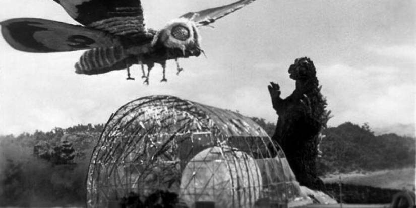 Mothra vs Godzilla battling in the 1964 movie