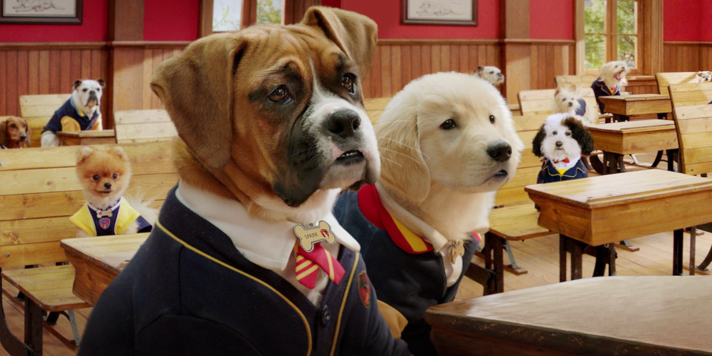 Pup Academy Season 1 on Netflix