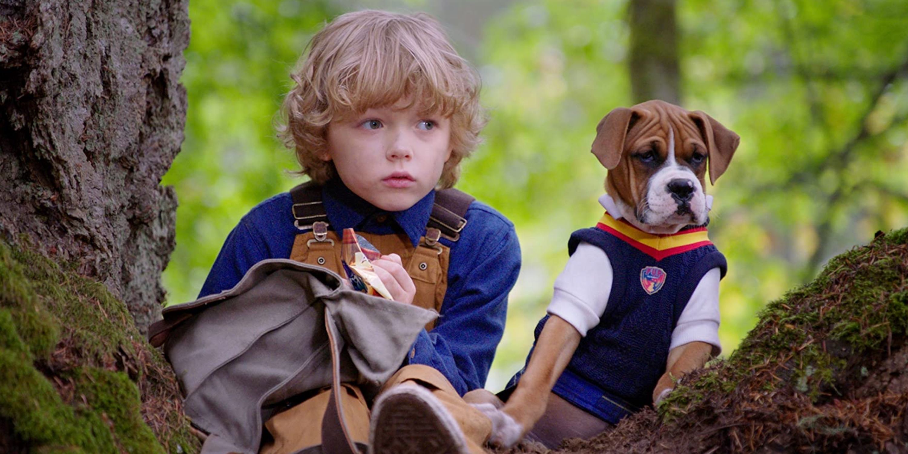 Pup Academy Season 1 on Netflix