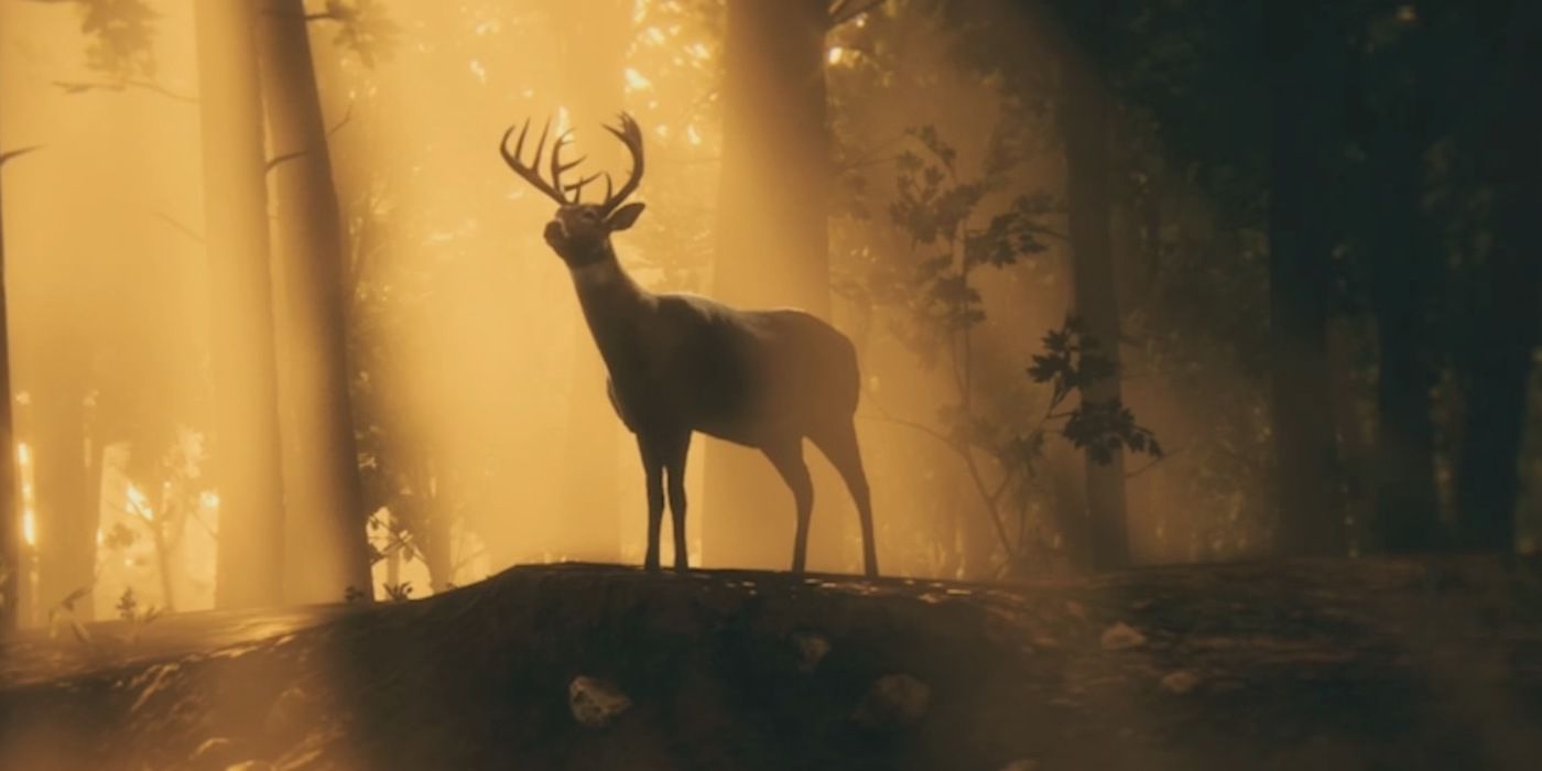 Red Dead Redemption 2 Animal Details Are Depressingly Accurate