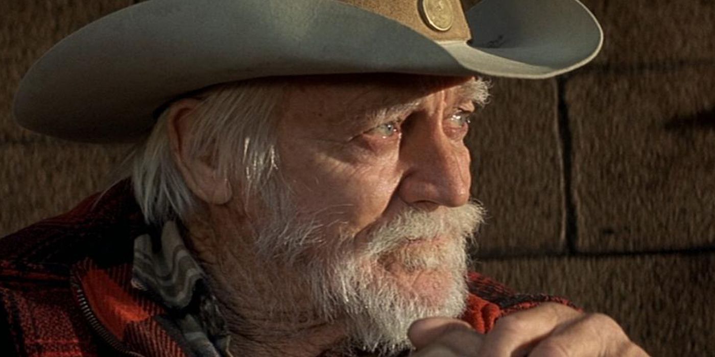 Richard Farnsworth looking out in the distance in The Straight Story