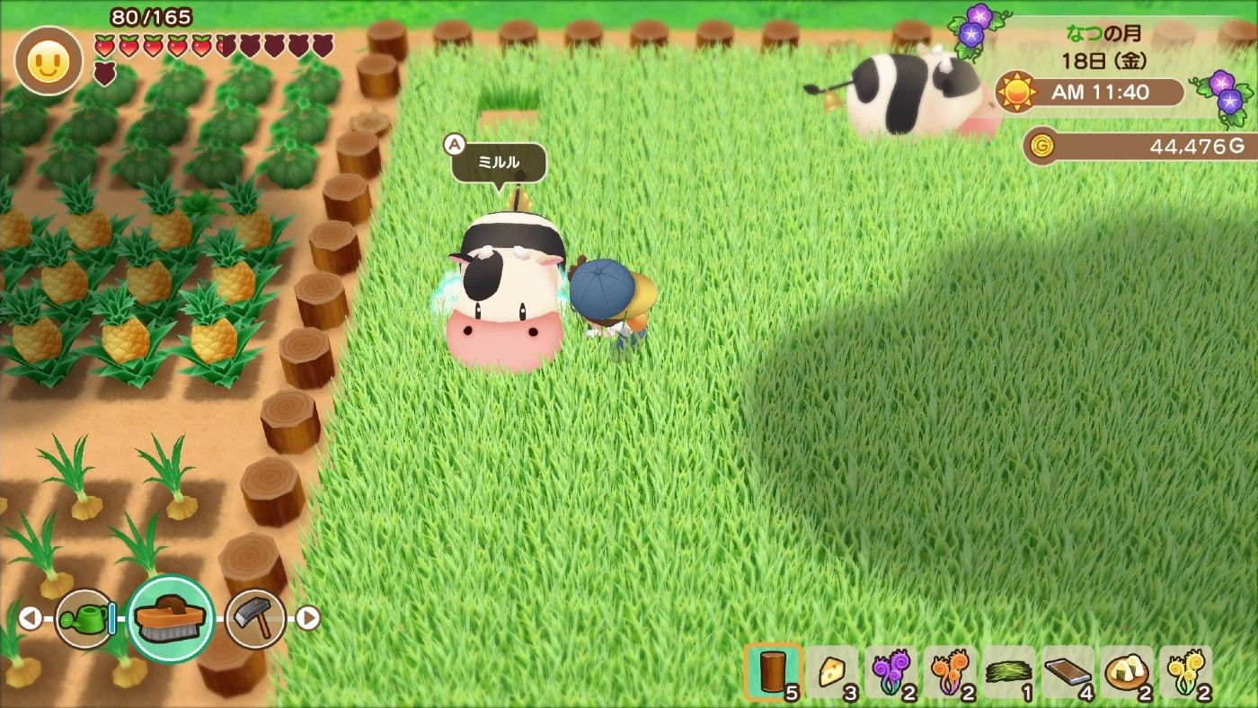 Story of seasons friends sale of mineral town release date