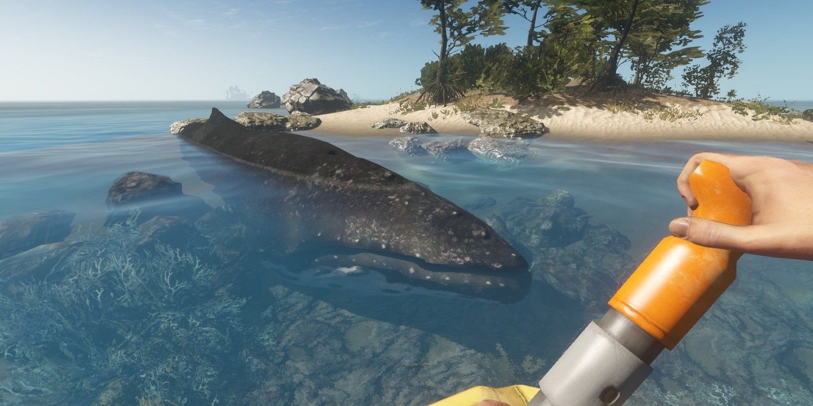 Stranded Deep Whales