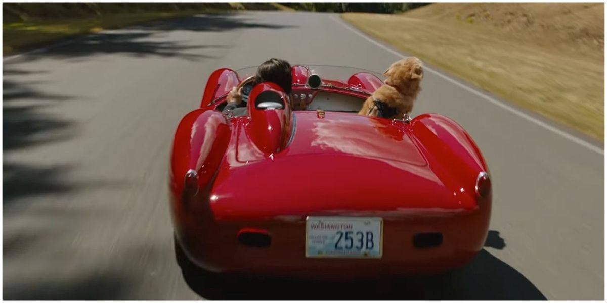 The Art Of Racing In The Rain 10 Awesome Facts About The Making Of The