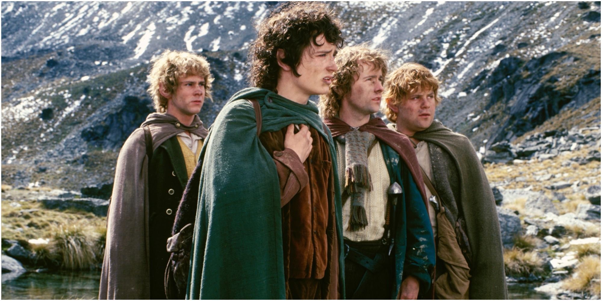 The Hobbits in Fellowship of the Ring