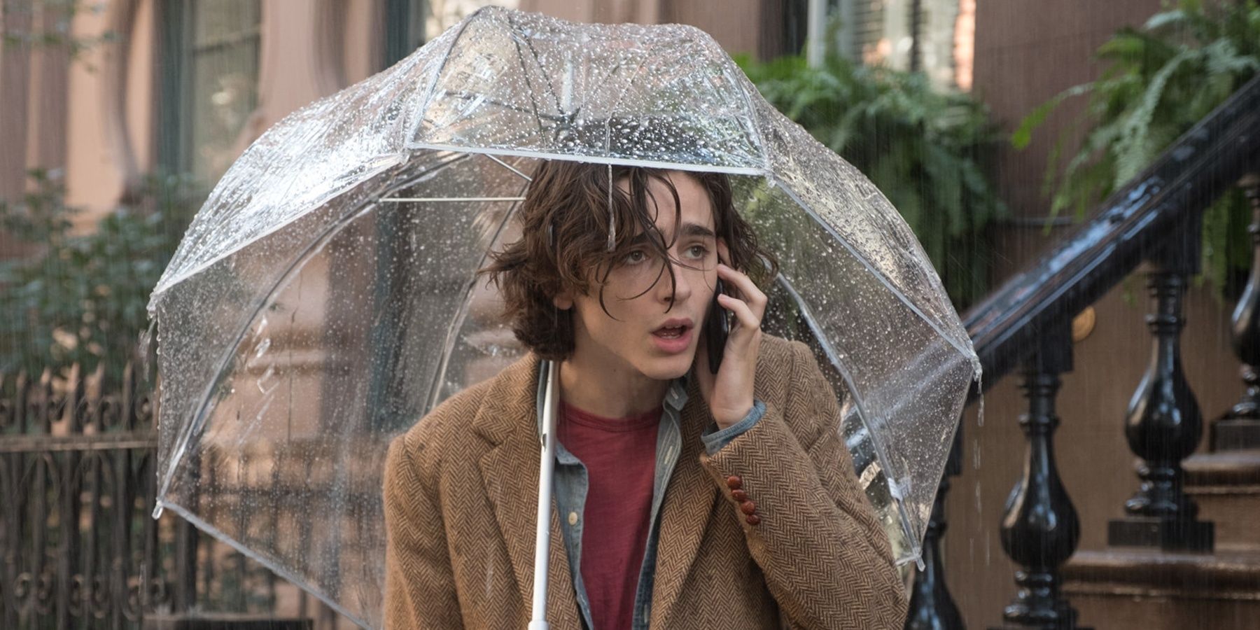 Timothee Chalamet in A Rainy Day In New York