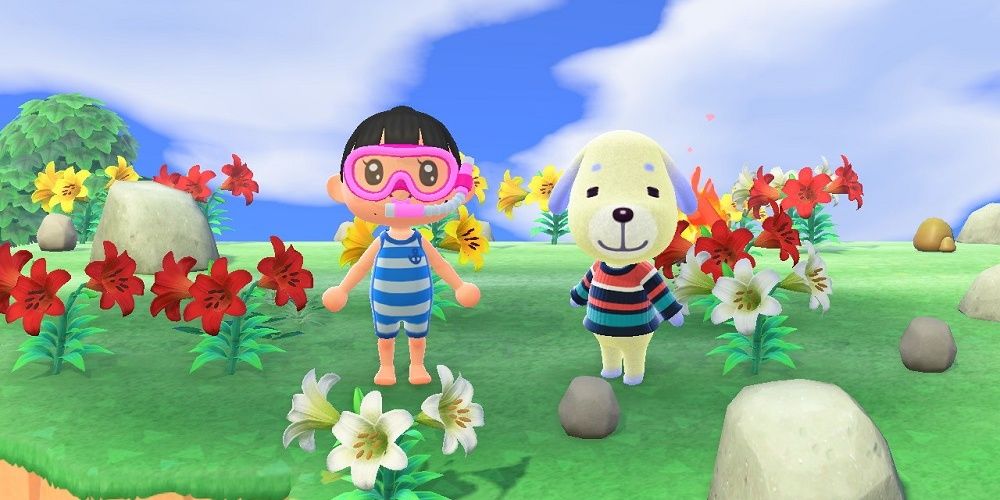 animal crossing daisy