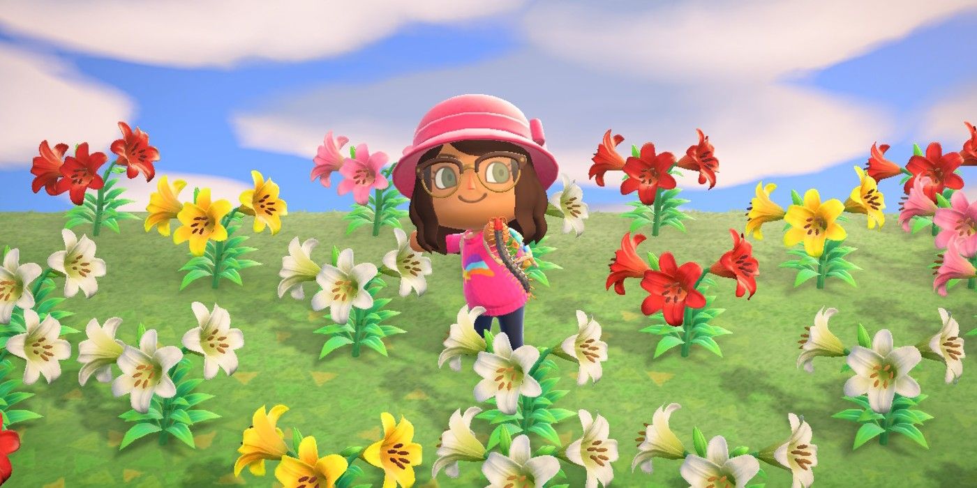 Animal Crossing New Horizons Centipede