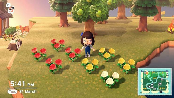 Animal Crossing New Horizons Blaue Rosen Animal Crossing: New Horizons - Wie man blaue Rosen anbaut | Kathryn
