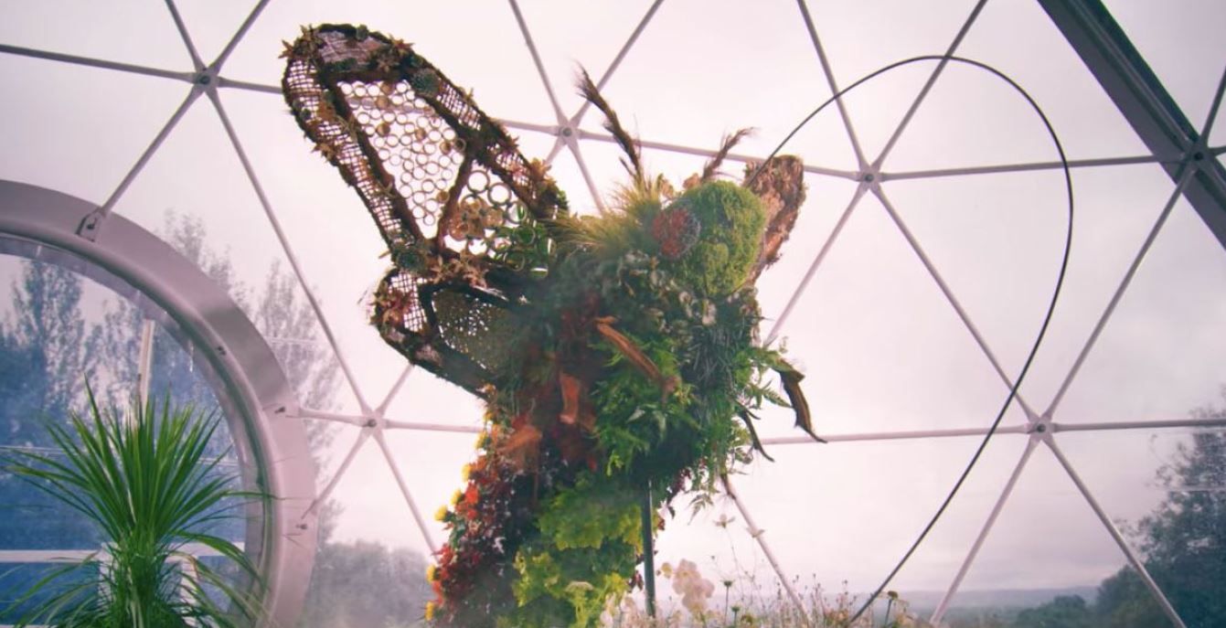 Big Flower Fight Top Floral Masterpieces From Netflix's Show