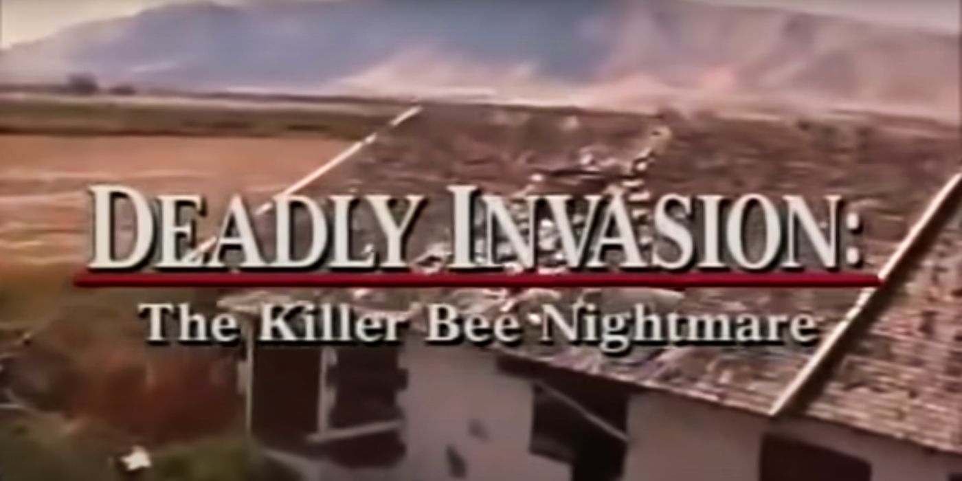 deadly invasion killer bee nightmare