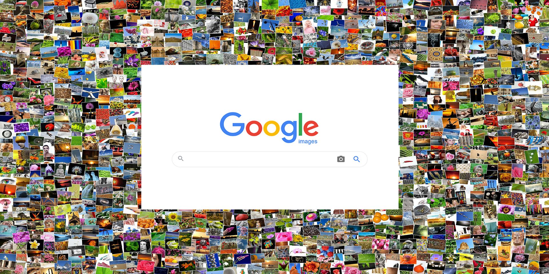 Google image search on backdrop of tiny images
