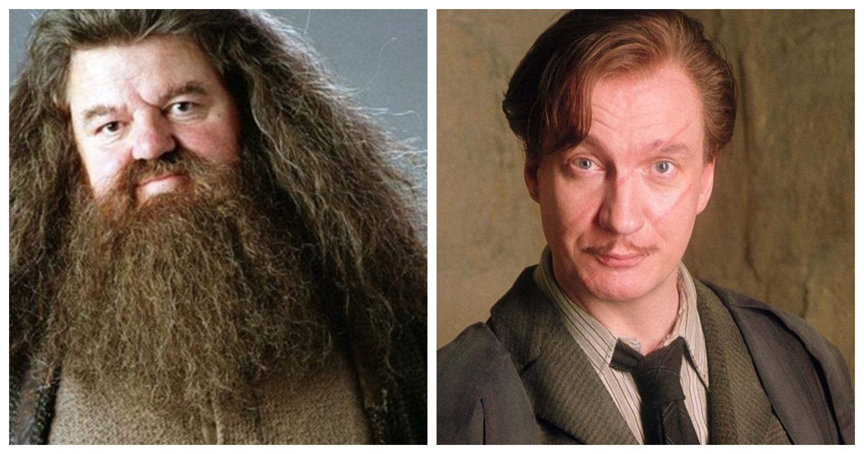 Harry Potter: 5 Reasons Hagrid Was Harry’s Best Teacher (& 5 It Was Lupin)