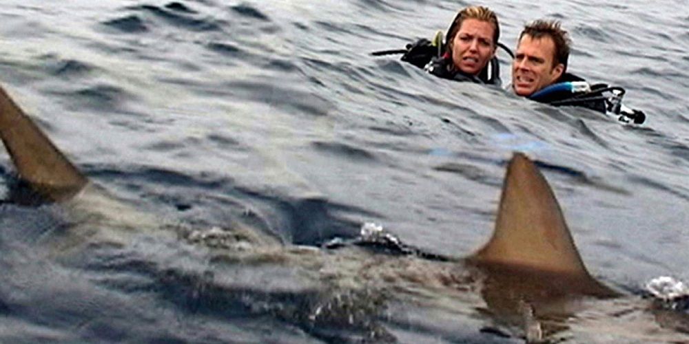 Open Water True Story: The Real Shark Encounter That Inspired The Movie