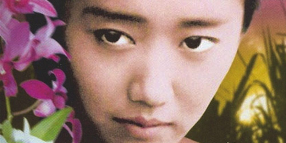 picture-bride-1994