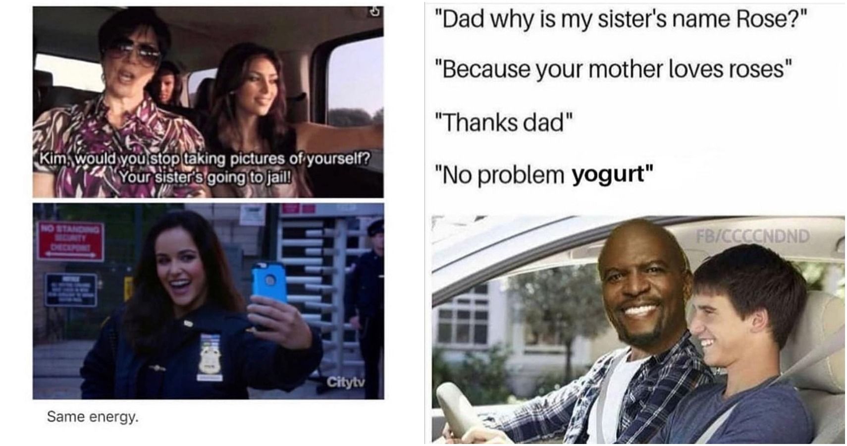 Here are some b99 memes to make your day better : r/brooklynninenine