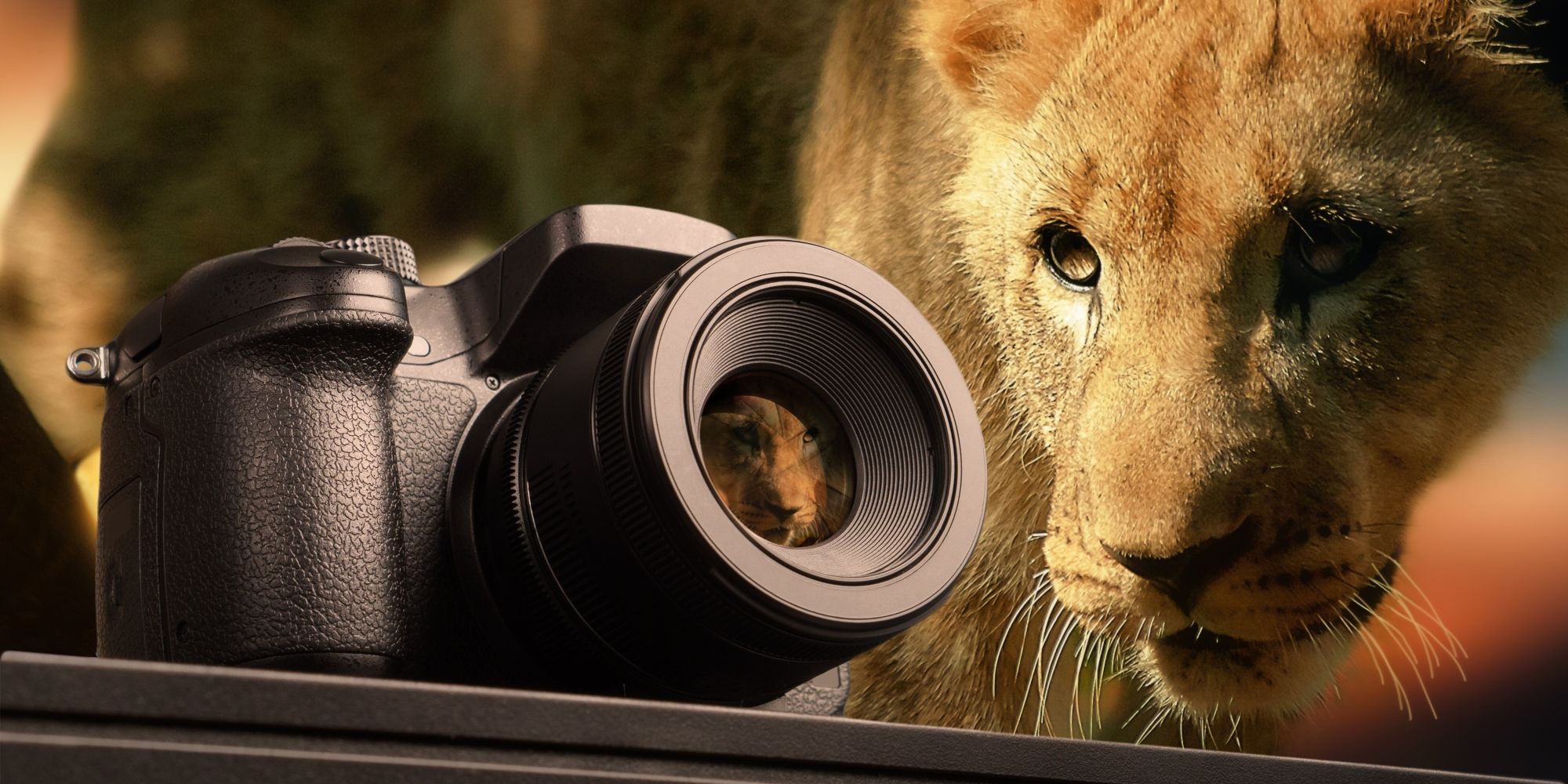 Best Trail Cameras (Updated 2020)