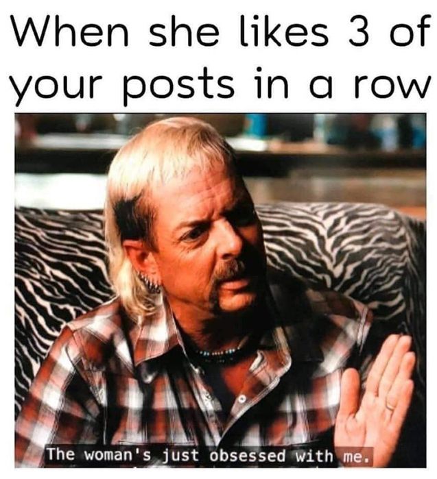 A meme about Joe Exotic from Tiger King