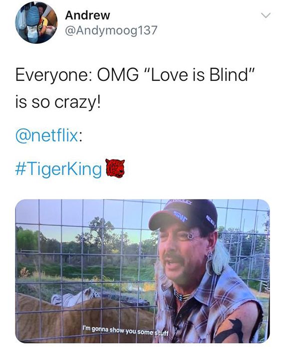 A tweet about the Netflix series Love is Blind and Tiger King.