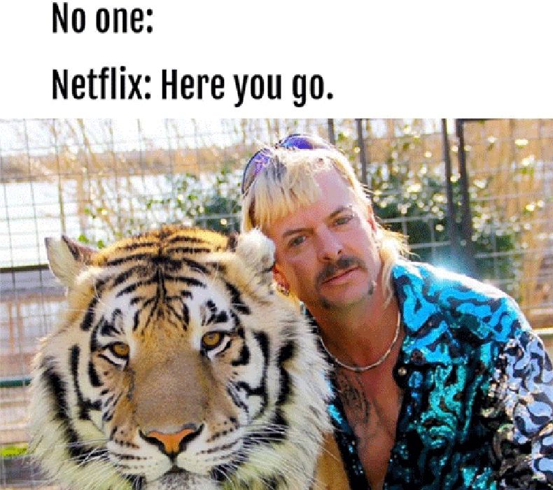 A meme about Joe Exotic from Tiger King