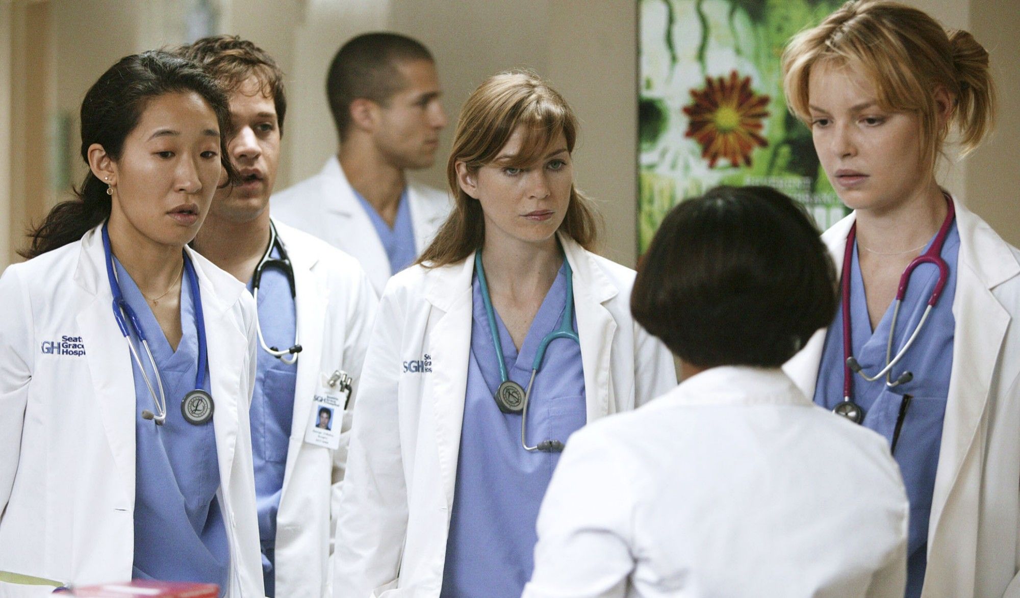 Meredith Grey Intern Year