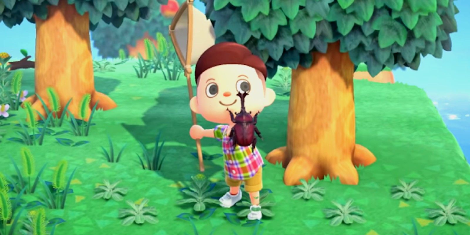 A player holds up a beetle he caught in Animal Crossing: New Horizons