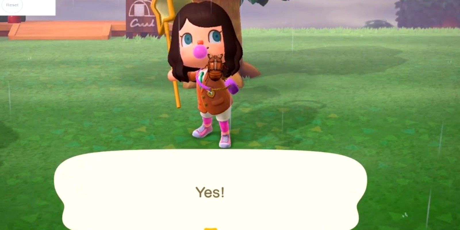 A player found the rare Cicada Shell, which arrives in July, l in Animal Crossing: New Horizons
