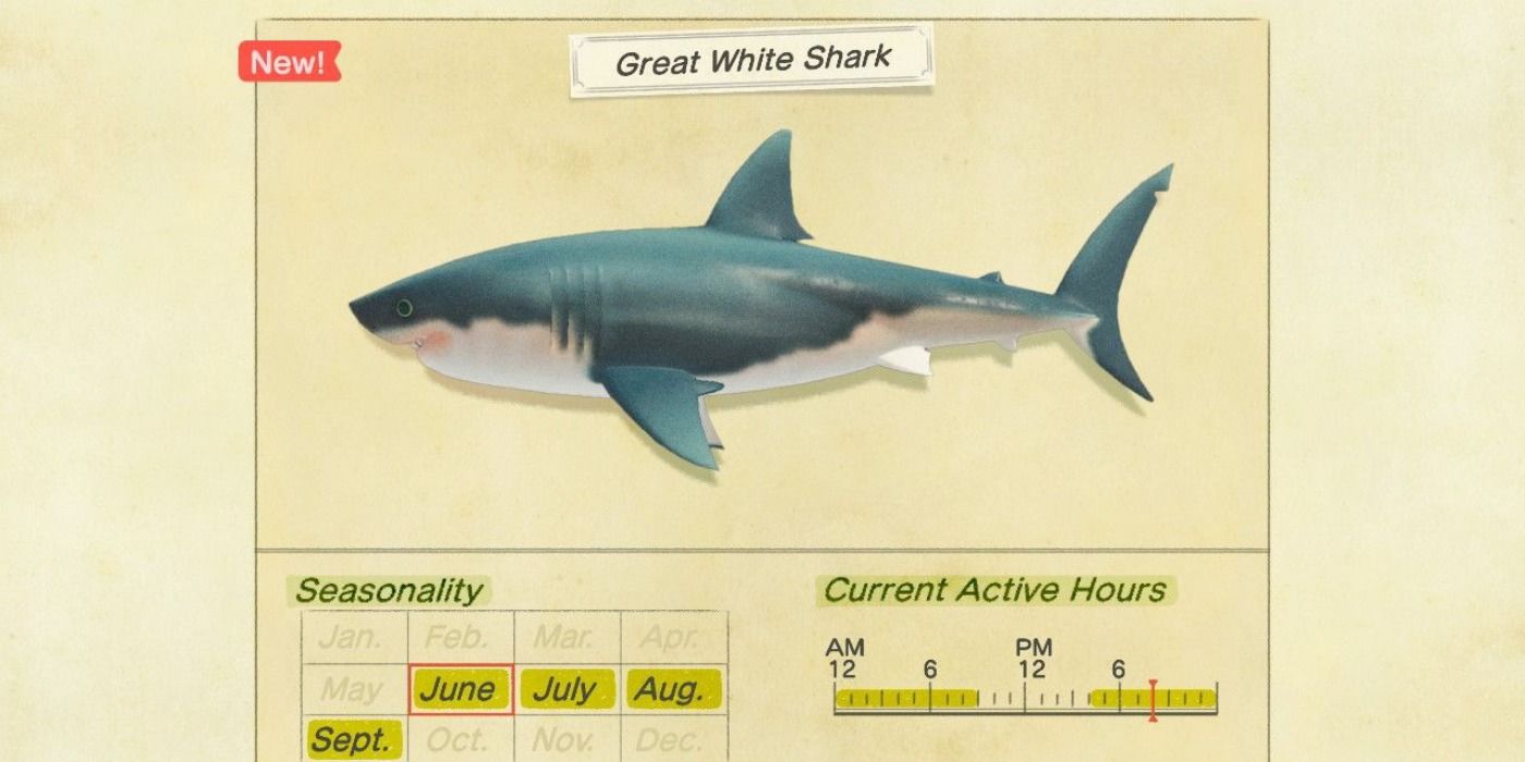 Animal Crossing New Horizons Great White Shark Info