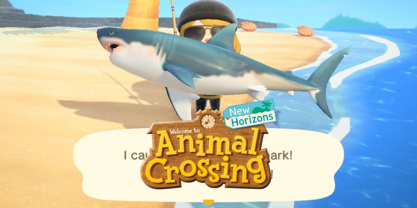 Animal Crossing New Horizons Great White Shark Title