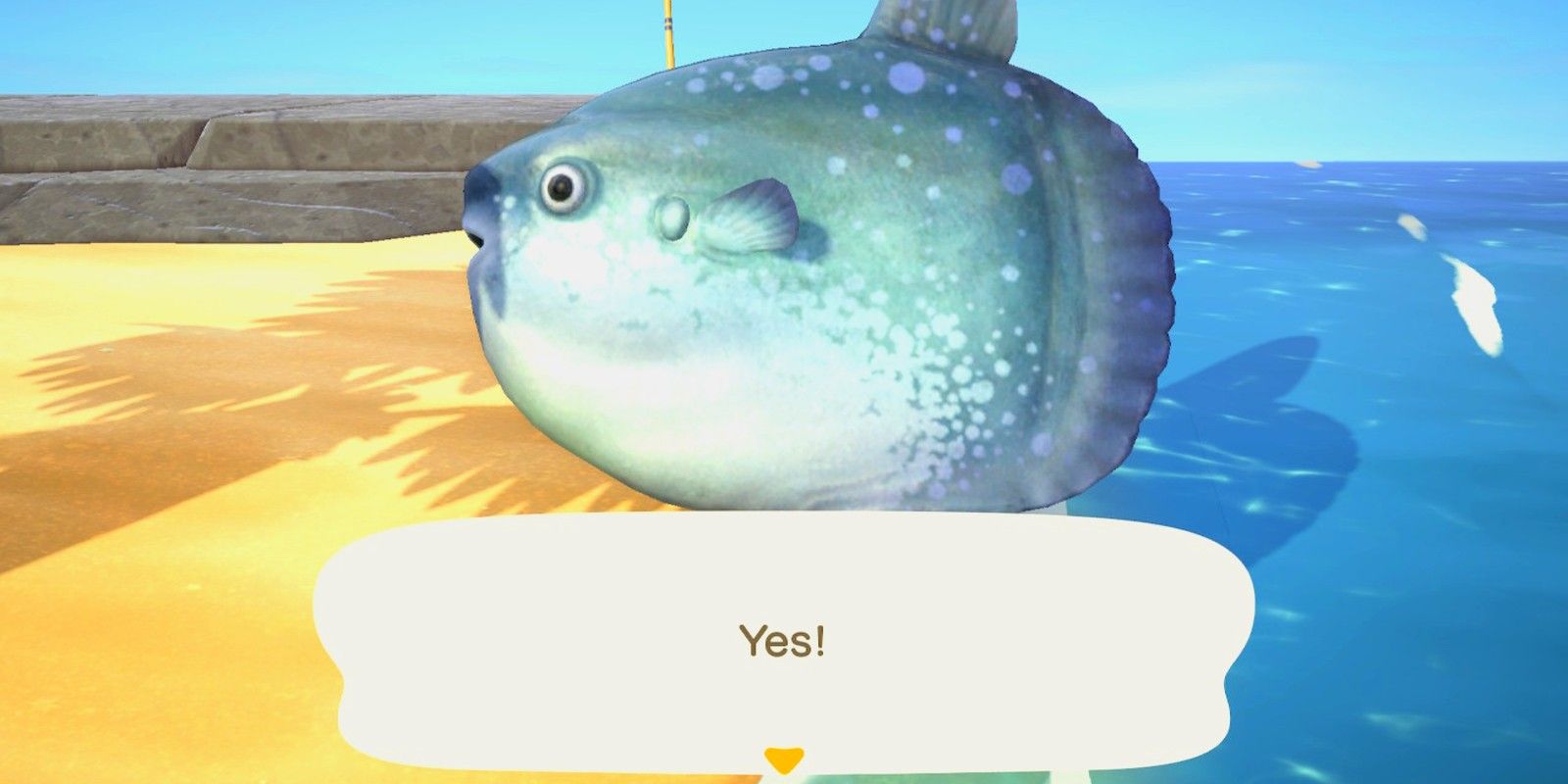 Animal Crossing New Horizons Ocean Sunfish catch