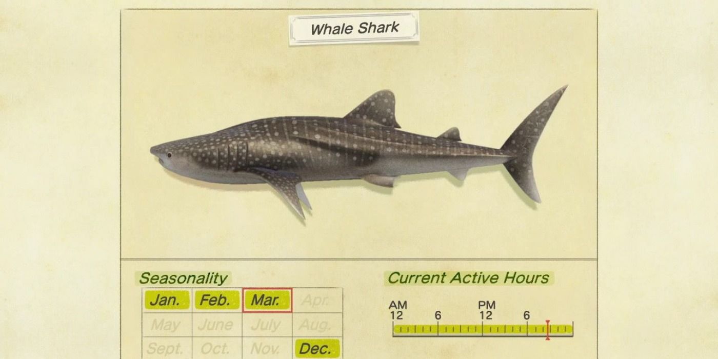 Animal Crossing New Horizons Whale Shark Info