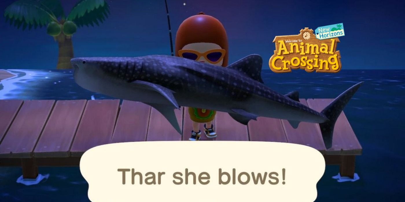 Animal Crossing New Horizons Whale Shark Title